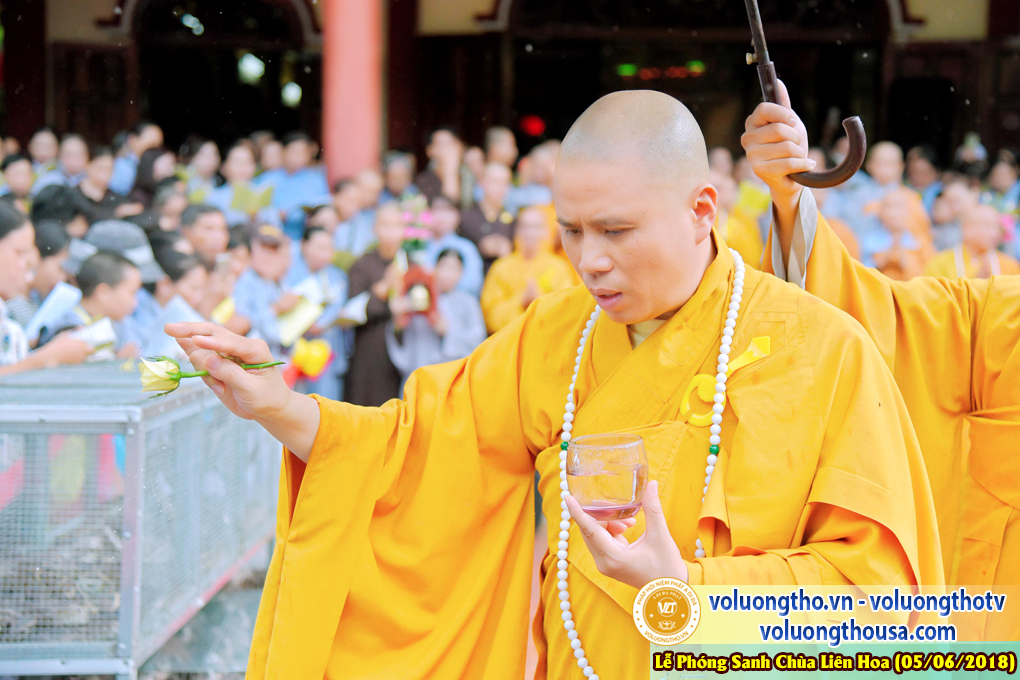 Tổ Chức Phóng Sanh Tại Chùa Liên Hoa ,  Bạc Liêu Ngày 3/6/2018