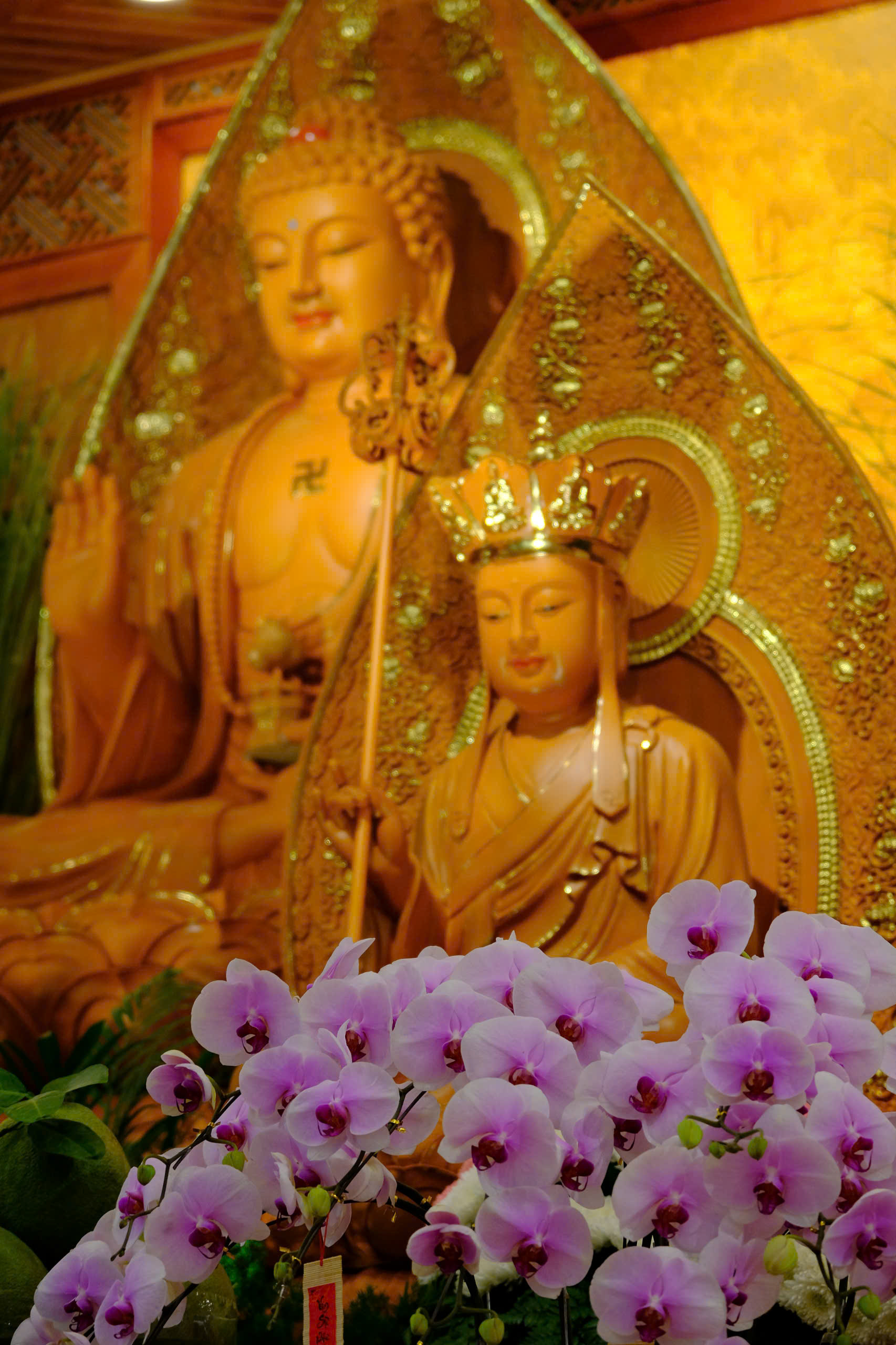 cong-tu-le-tat-nien-ki-niem-25-nam-thanh-lap-chua-quan-the-am-nam-2024-20-12-giap-thin-al-chua-quan-the-am-duc-trong-lam-dong-33.jpg
