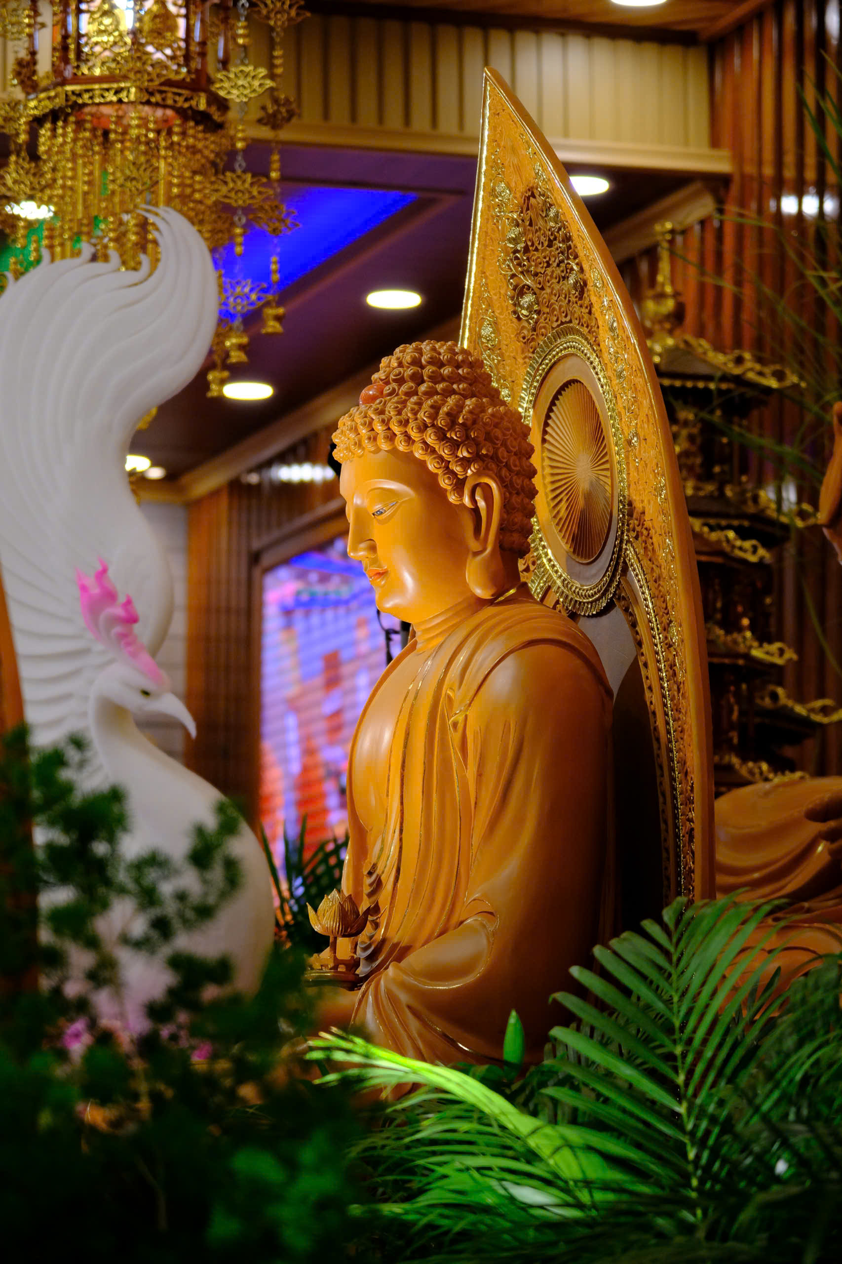 cong-tu-le-tat-nien-ki-niem-25-nam-thanh-lap-chua-quan-the-am-nam-2024-20-12-giap-thin-al-chua-quan-the-am-duc-trong-lam-dong-38.jpg