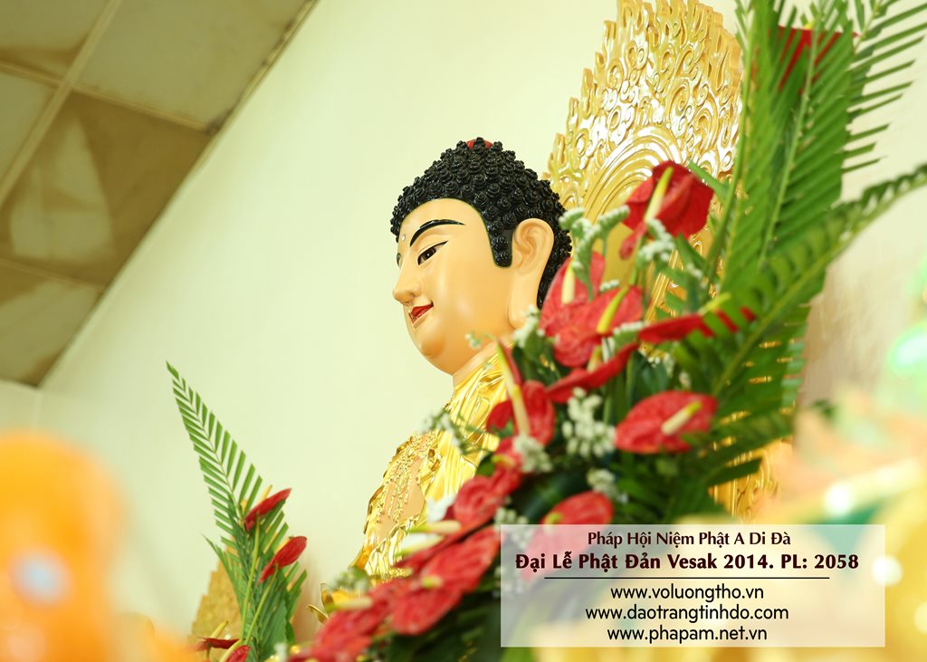 dai-le-phat-dan-vesak-2014-chua-quan-the-am-duc-trong-lam-dong-25.jpg