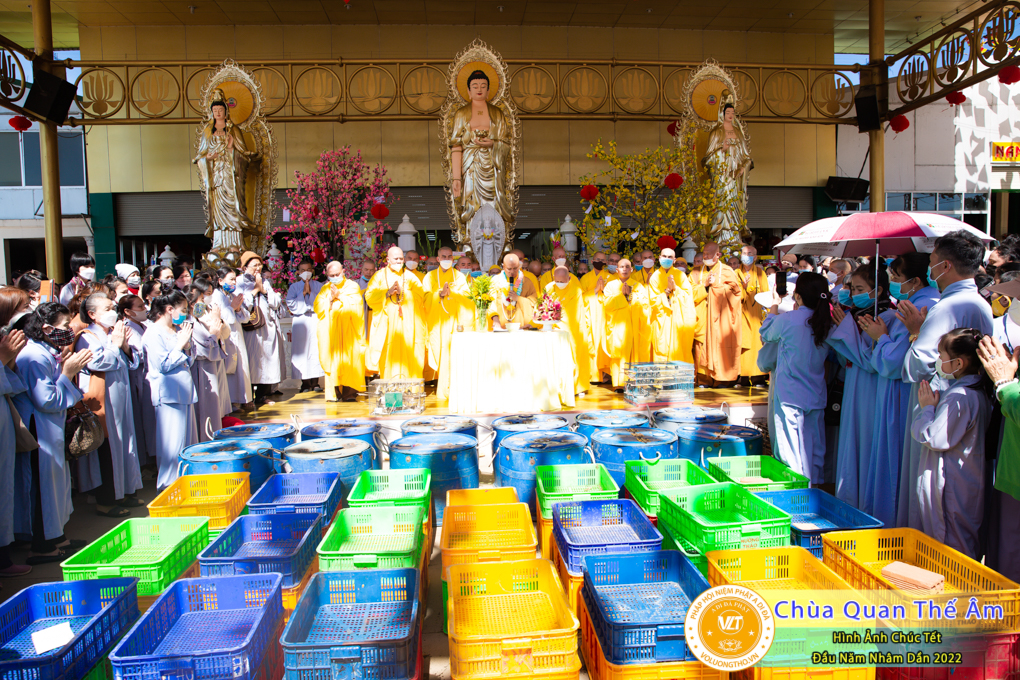 hinh-anh-chuc-tet-dau-nam-nham-dan-2022-chua-quan-the-am-duc-trong-lam-dong-87.jpg