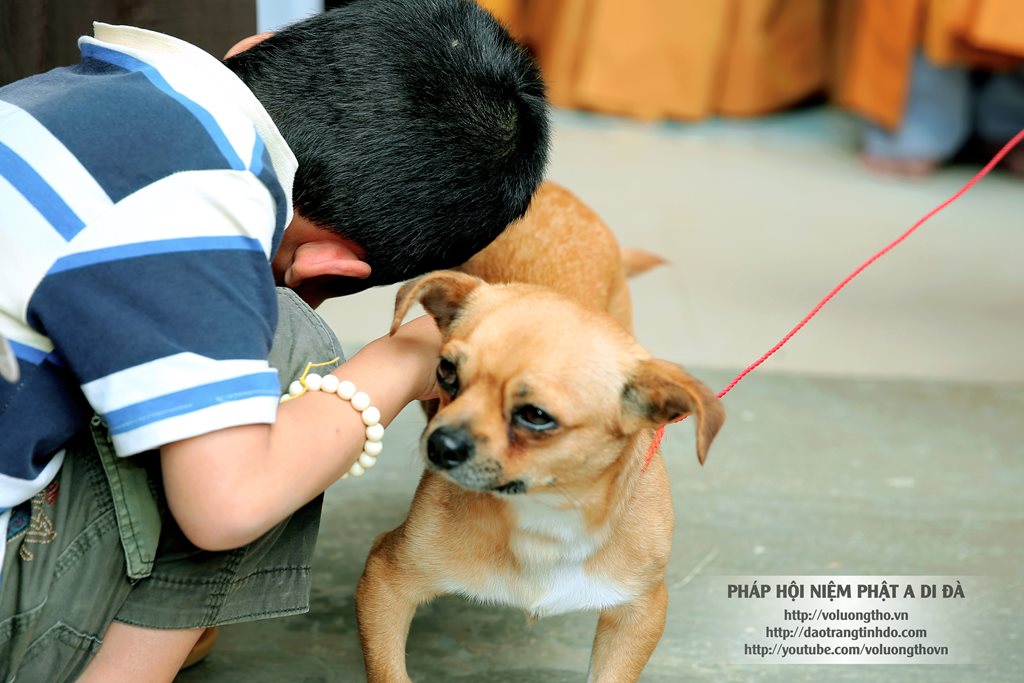 hinh-anh-cong-tu-chu-nhat-3-2014-chua-quan-the-am-duc-trong-lam-dong-2.jpg