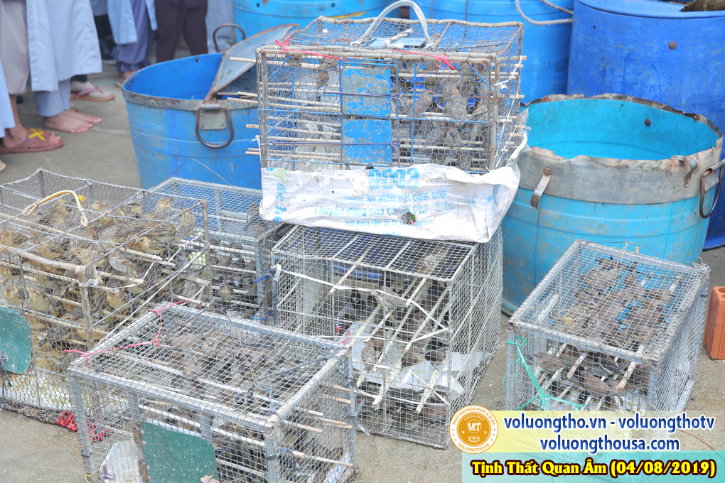 hinh-anh-cong-tu-chu-nhat-ngay-04-08-2019-chua-quan-the-am-duc-trong-lam-dong-29.jpg