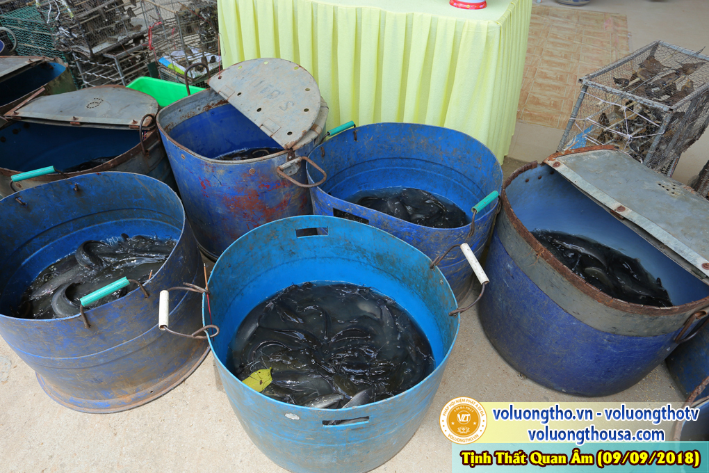 hinh-anh-cong-tu-chu-nhat-ngay-09-09-2018-chua-quan-the-am-duc-trong-lam-dong-62.jpg