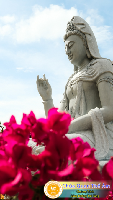 hinh-anh-cung-duong-trai-tang-ngay-8-5-2022-chua-quan-the-am-duc-trong-lam-dong-20.jpg