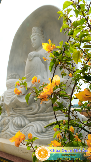 hinh-anh-cung-duong-trai-tang-ngay-8-5-2022-chua-quan-the-am-duc-trong-lam-dong-21.jpg
