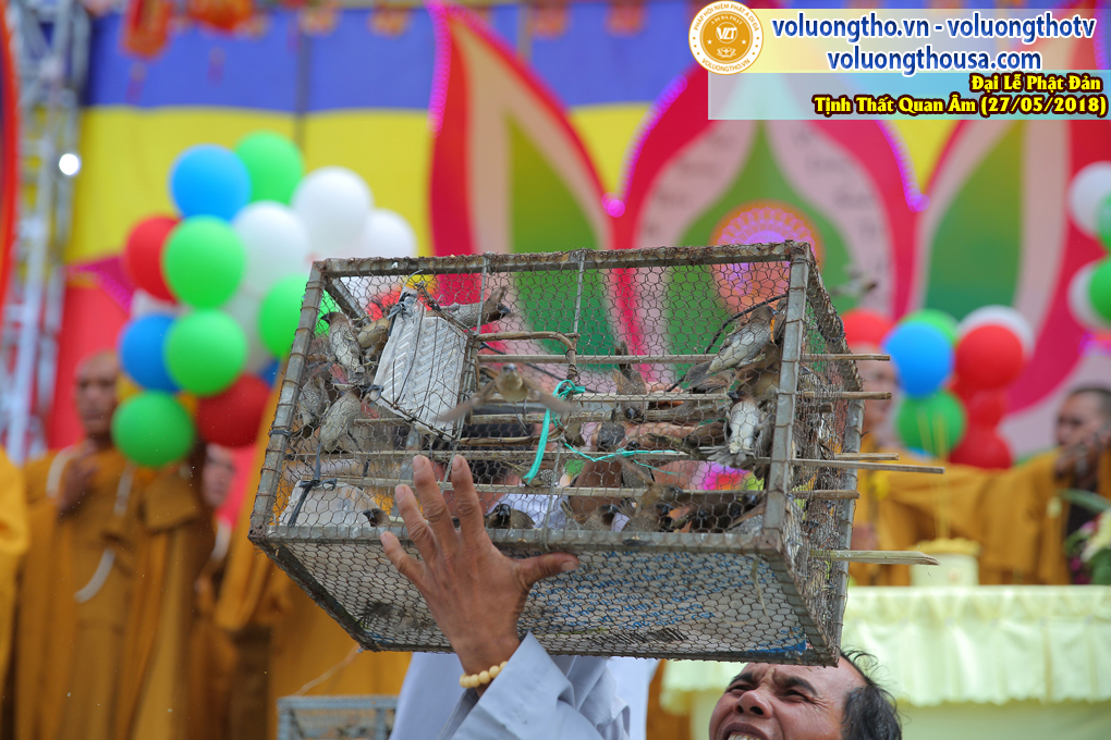 hinh-anh-dai-le-phat-dan-va-le-tam-phat-ngay-27-5-2018-dl-chua-quan-the-am-duc-trong-lam-dong-55.jpg