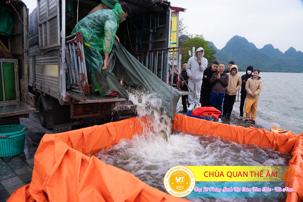 hinh-anh-dai-le-phong-sanh-tai-chua-tam-chuc-tinh-ha-nam-thu-5-ngay-21-12-2023-chua-quan-the-am-duc-trong-lam-dong-41.jpg