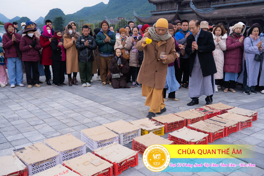hinh-anh-dai-le-phong-sanh-tai-chua-tam-chuc-tinh-ha-nam-thu-5-ngay-21-12-2023-chua-quan-the-am-duc-trong-lam-dong-43.jpg