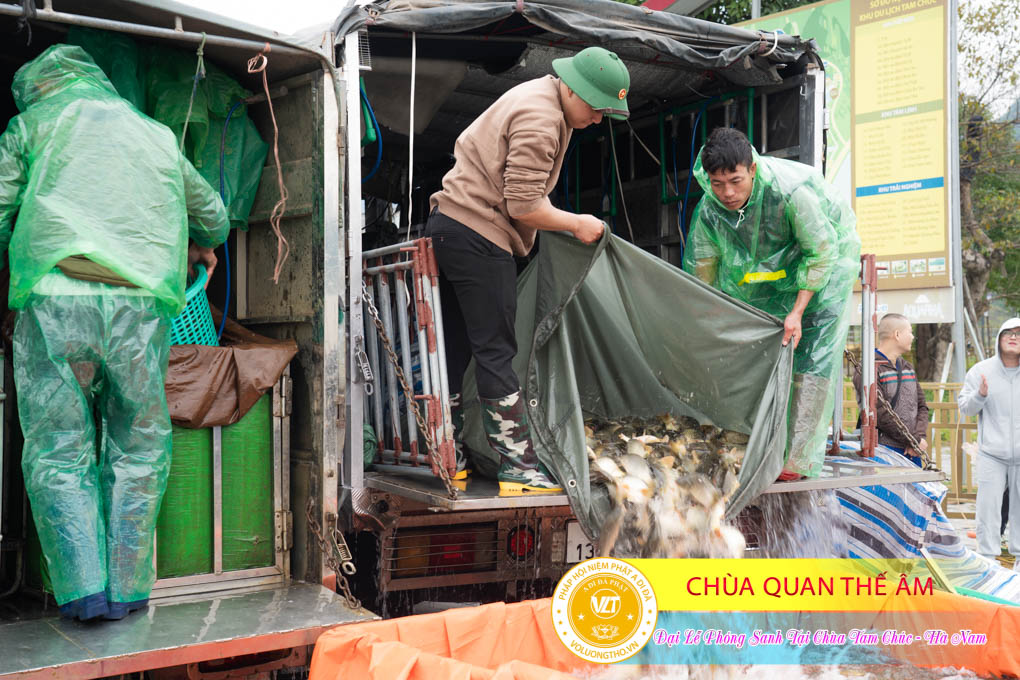 hinh-anh-dai-le-phong-sanh-tai-chua-tam-chuc-tinh-ha-nam-thu-5-ngay-21-12-2023-chua-quan-the-am-duc-trong-lam-dong-48.jpg