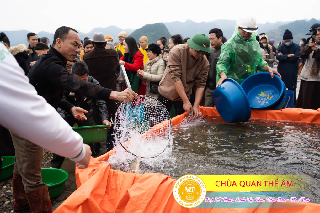 hinh-anh-dai-le-phong-sanh-tai-chua-tam-chuc-tinh-ha-nam-thu-5-ngay-21-12-2023-chua-quan-the-am-duc-trong-lam-dong-52.jpg