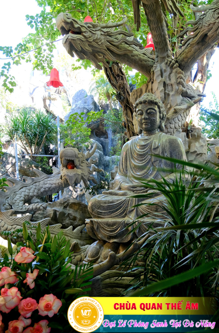 hinh-anh-dai-le-phong-sanh-tai-khu-tam-linh-da-son-da-nang-p2-chua-quan-the-am-duc-trong-lam-dong-19.jpg