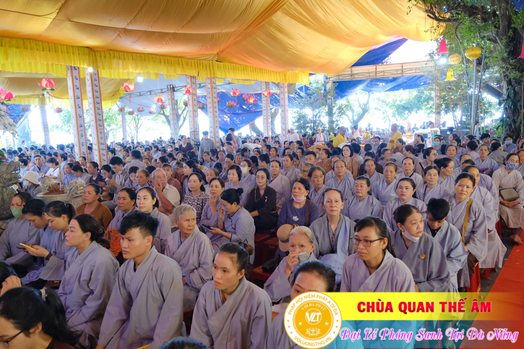 hinh-anh-dai-le-phong-sanh-tai-khu-tam-linh-da-son-da-nang-p2-chua-quan-the-am-duc-trong-lam-dong-6.jpg