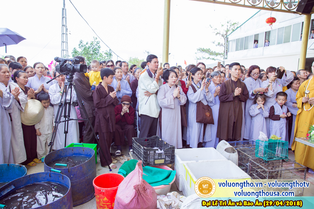 hinh-anh-dai-le-tri-an-va-bao-an-tai-chua-quan-the-am-ngay-29-4-2018-chua-quan-the-am-duc-trong-lam-dong-49.jpg
