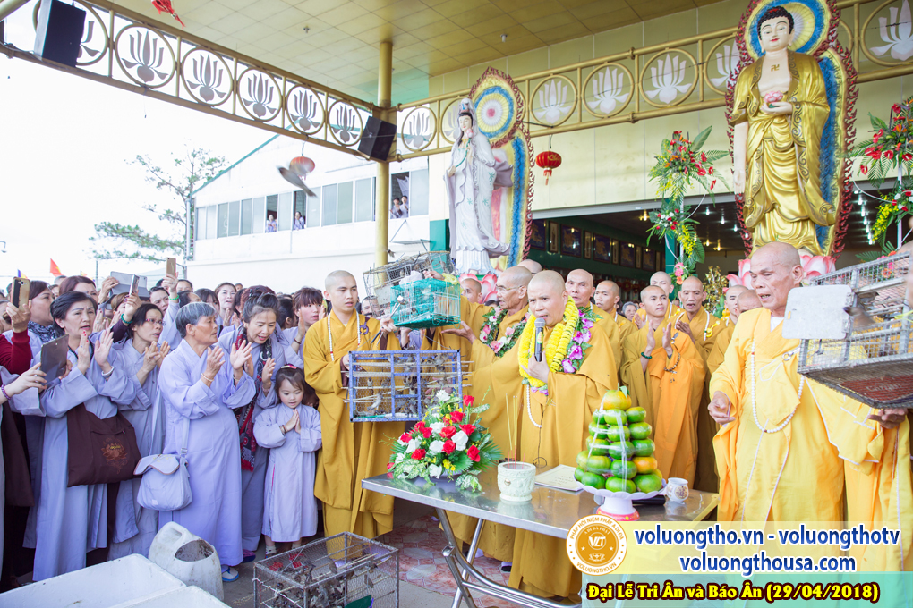 hinh-anh-dai-le-tri-an-va-bao-an-tai-chua-quan-the-am-ngay-29-4-2018-chua-quan-the-am-duc-trong-lam-dong-53.jpg