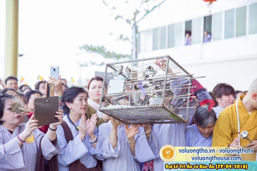 hinh-anh-dai-le-tri-an-va-bao-an-tai-chua-quan-the-am-ngay-29-4-2018-chua-quan-the-am-duc-trong-lam-dong-54.jpg