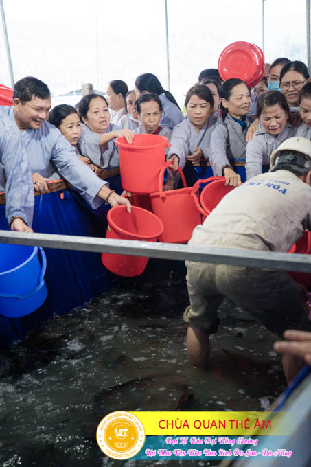 hinh-anh-duc-dai-hong-chuong-tai-khu-tam-linh-da-son-da-nang-ngay-17-12-2023-chua-quan-the-am-duc-trong-lam-dong-100.jpg
