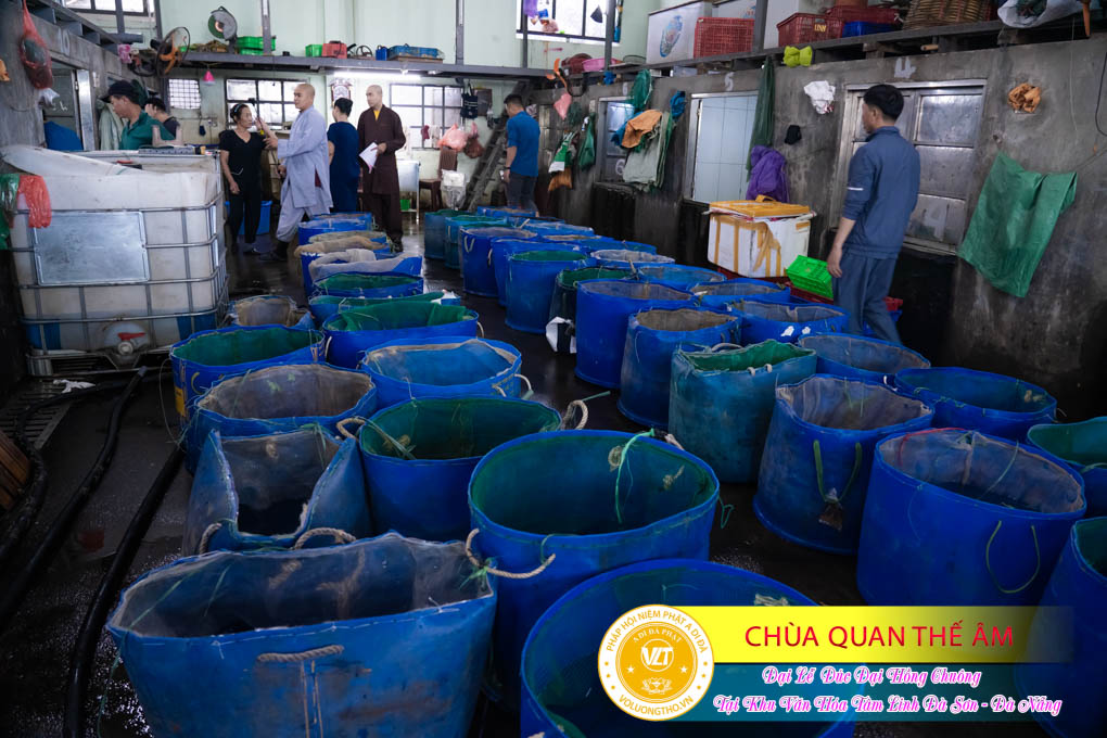 hinh-anh-duc-dai-hong-chuong-tai-khu-tam-linh-da-son-da-nang-ngay-17-12-2023-chua-quan-the-am-duc-trong-lam-dong-29.jpg