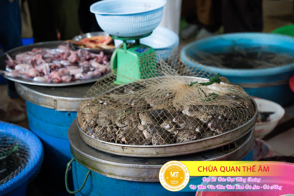 hinh-anh-duc-dai-hong-chuong-tai-khu-tam-linh-da-son-da-nang-ngay-17-12-2023-chua-quan-the-am-duc-trong-lam-dong-53.jpg