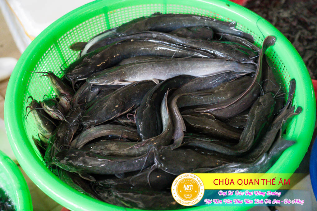 hinh-anh-duc-dai-hong-chuong-tai-khu-tam-linh-da-son-da-nang-ngay-17-12-2023-chua-quan-the-am-duc-trong-lam-dong-54.jpg