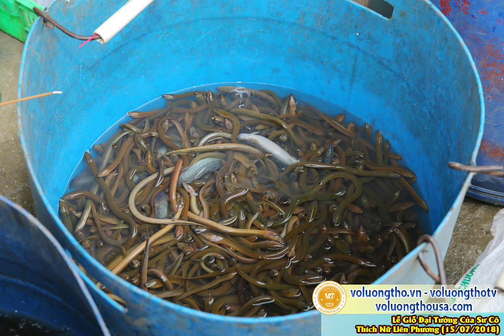 hinh-anh-gio-dai-tuong-su-co-lien-phuong-ngay-15-7-2018-chua-quan-the-am-duc-trong-lam-dong-87.jpg