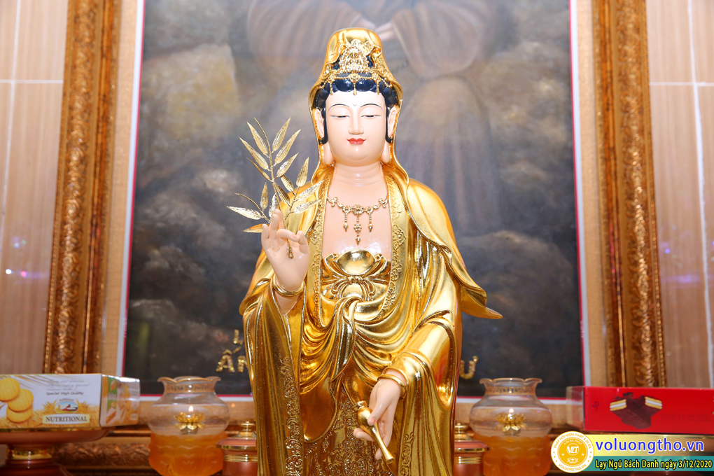 hinh-anh-lay-ngu-bach-danh-ngay-03-12-2020-chua-quan-the-am-duc-trong-lam-dong-26.jpg