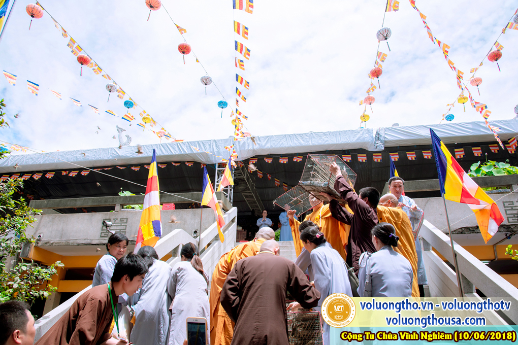 hinh-anh-phap-hoi-niem-phat-a-di-da-tai-to-dinh-vinh-nghiem-ngay-10-6-2018-chua-quan-the-am-duc-trong-lam-dong-100.jpg