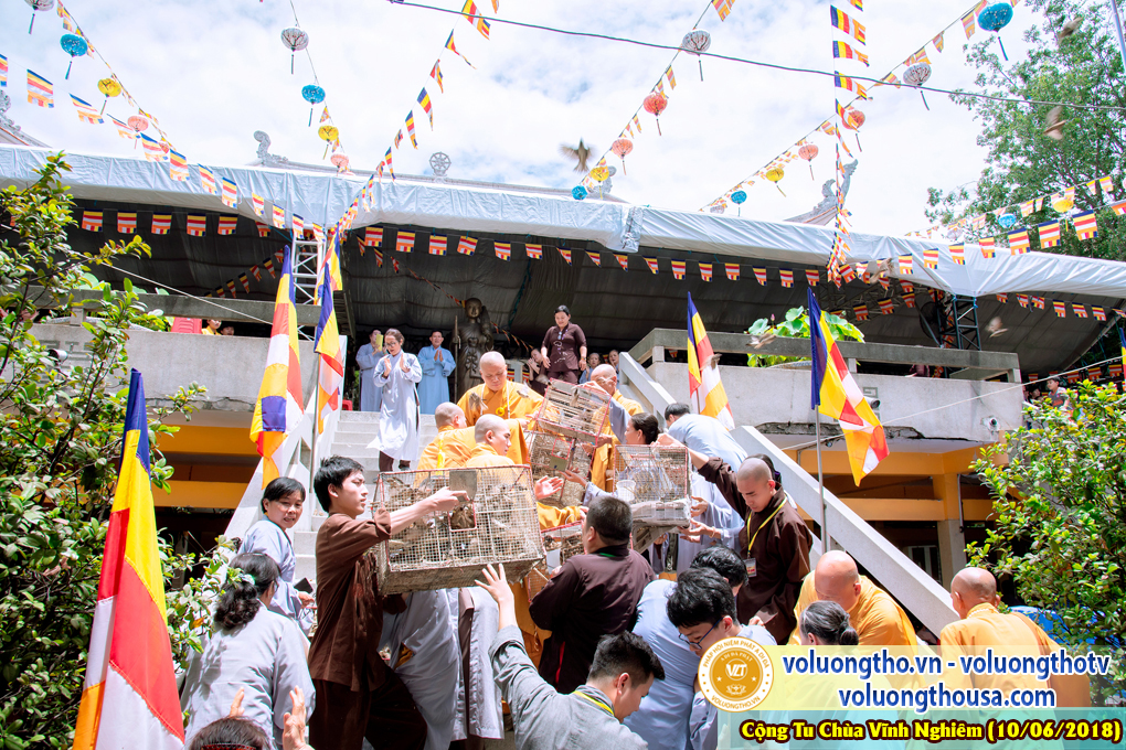 hinh-anh-phap-hoi-niem-phat-a-di-da-tai-to-dinh-vinh-nghiem-ngay-10-6-2018-chua-quan-the-am-duc-trong-lam-dong-101.jpg