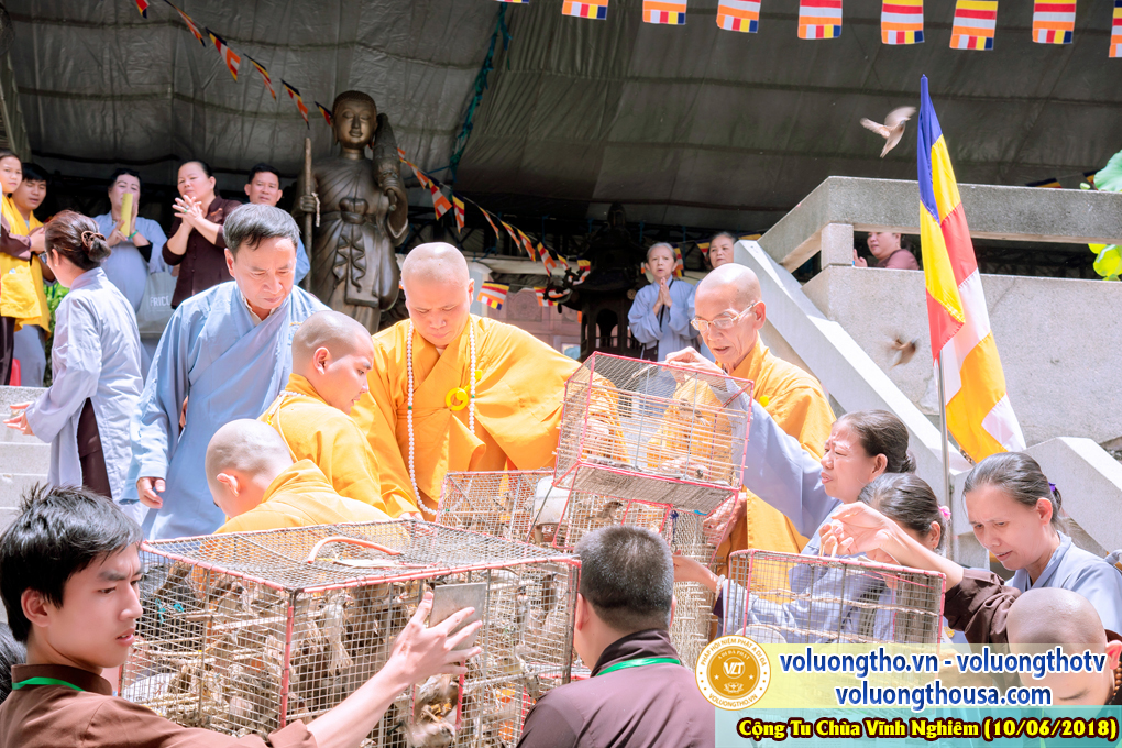 hinh-anh-phap-hoi-niem-phat-a-di-da-tai-to-dinh-vinh-nghiem-ngay-10-6-2018-chua-quan-the-am-duc-trong-lam-dong-102.jpg