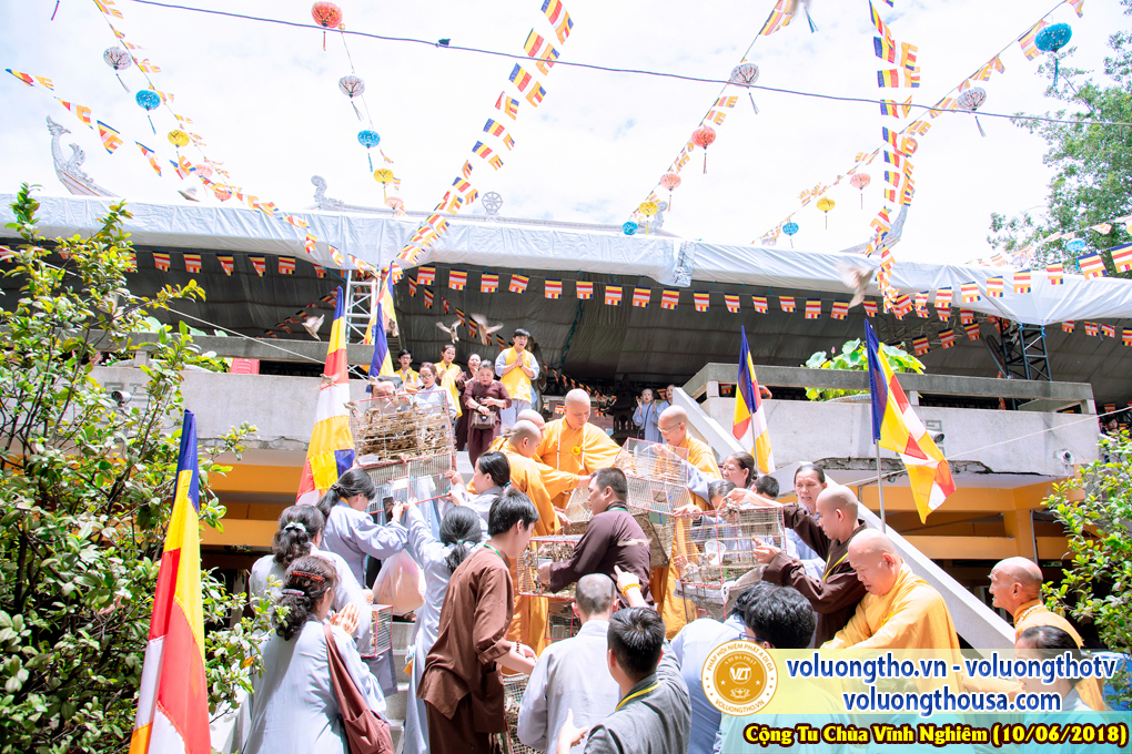 hinh-anh-phap-hoi-niem-phat-a-di-da-tai-to-dinh-vinh-nghiem-ngay-10-6-2018-chua-quan-the-am-duc-trong-lam-dong-103.jpg