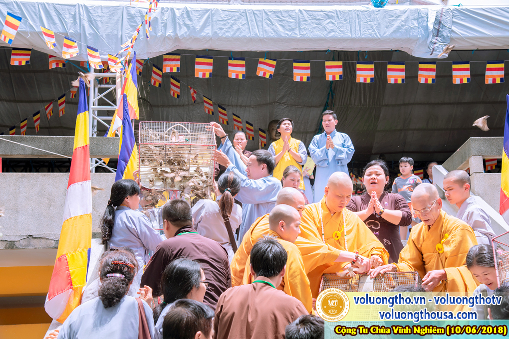 hinh-anh-phap-hoi-niem-phat-a-di-da-tai-to-dinh-vinh-nghiem-ngay-10-6-2018-chua-quan-the-am-duc-trong-lam-dong-104.jpg