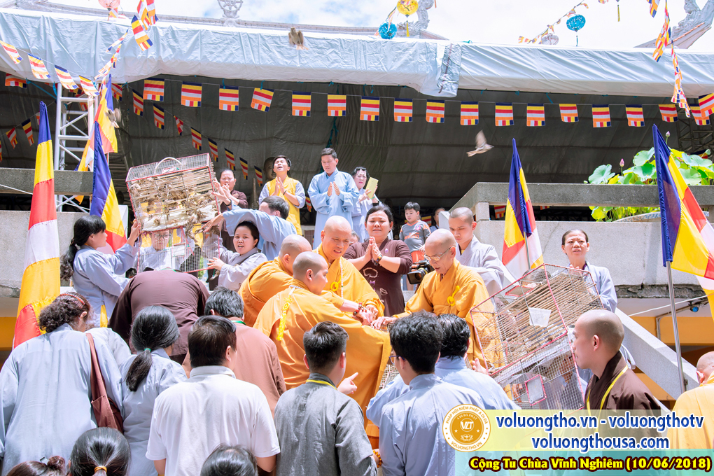 hinh-anh-phap-hoi-niem-phat-a-di-da-tai-to-dinh-vinh-nghiem-ngay-10-6-2018-chua-quan-the-am-duc-trong-lam-dong-105.jpg