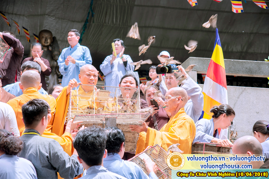 hinh-anh-phap-hoi-niem-phat-a-di-da-tai-to-dinh-vinh-nghiem-ngay-10-6-2018-chua-quan-the-am-duc-trong-lam-dong-106.jpg
