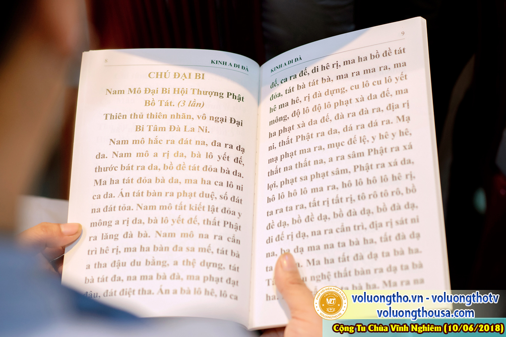 hinh-anh-phap-hoi-niem-phat-a-di-da-tai-to-dinh-vinh-nghiem-ngay-10-6-2018-chua-quan-the-am-duc-trong-lam-dong-29.jpg