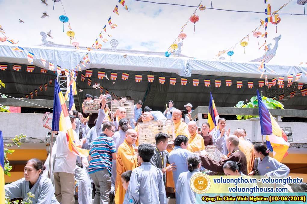 hinh-anh-phap-hoi-niem-phat-a-di-da-tai-to-dinh-vinh-nghiem-ngay-10-6-2018-chua-quan-the-am-duc-trong-lam-dong-3.jpg
