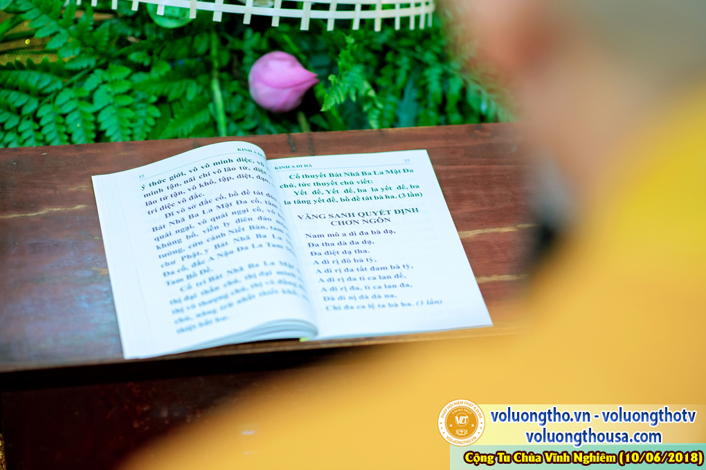 hinh-anh-phap-hoi-niem-phat-a-di-da-tai-to-dinh-vinh-nghiem-ngay-10-6-2018-chua-quan-the-am-duc-trong-lam-dong-50.jpg