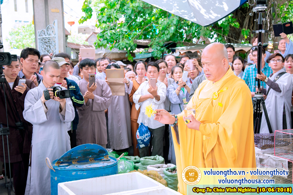 hinh-anh-phap-hoi-niem-phat-a-di-da-tai-to-dinh-vinh-nghiem-ngay-10-6-2018-chua-quan-the-am-duc-trong-lam-dong-84.jpg