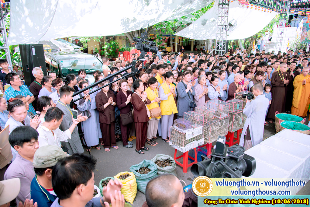 hinh-anh-phap-hoi-niem-phat-a-di-da-tai-to-dinh-vinh-nghiem-ngay-10-6-2018-chua-quan-the-am-duc-trong-lam-dong-89.jpg