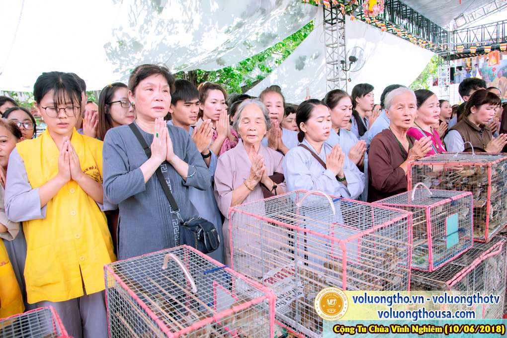 hinh-anh-phap-hoi-niem-phat-a-di-da-tai-to-dinh-vinh-nghiem-ngay-10-6-2018-chua-quan-the-am-duc-trong-lam-dong-94.jpg