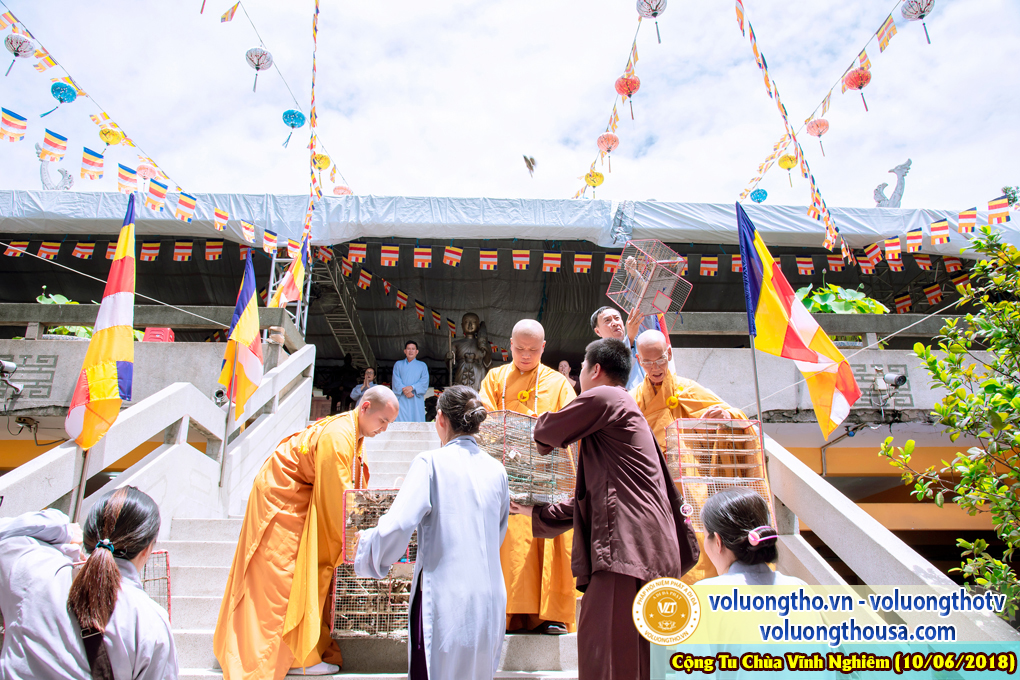 hinh-anh-phap-hoi-niem-phat-a-di-da-tai-to-dinh-vinh-nghiem-ngay-10-6-2018-chua-quan-the-am-duc-trong-lam-dong-99.jpg
