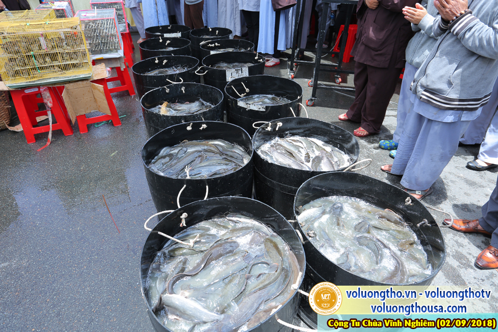 hinh-anh-phap-hoi-vinh-nghiem-ngay-02-09-2018-chua-quan-the-am-duc-trong-lam-dong-41.jpg