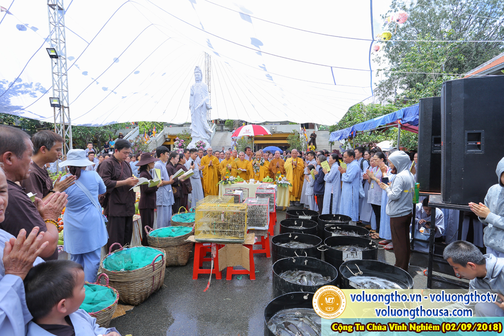 hinh-anh-phap-hoi-vinh-nghiem-ngay-02-09-2018-chua-quan-the-am-duc-trong-lam-dong-47.jpg