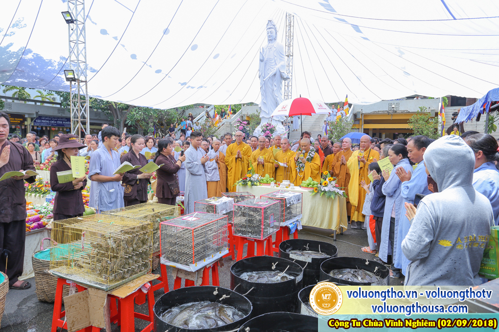 hinh-anh-phap-hoi-vinh-nghiem-ngay-02-09-2018-chua-quan-the-am-duc-trong-lam-dong-48.jpg