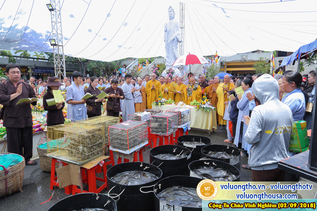 hinh-anh-phap-hoi-vinh-nghiem-ngay-02-09-2018-chua-quan-the-am-duc-trong-lam-dong-49.jpg