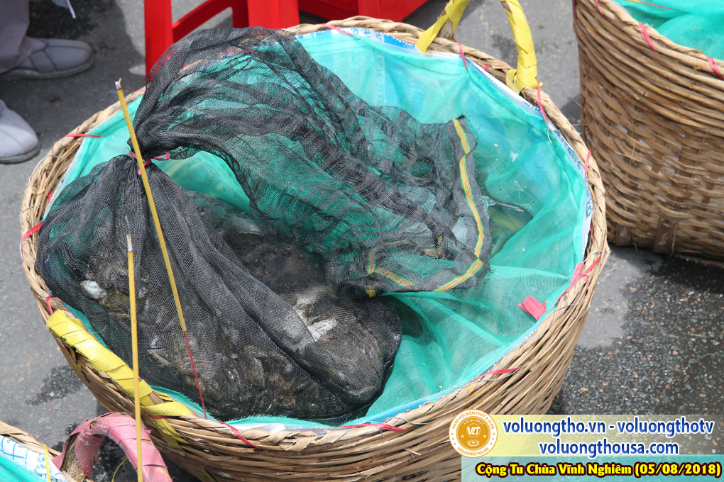 hinh-anh-phap-hoi-vinh-nghiem-ngay-5-8-2018-chua-quan-the-am-duc-trong-lam-dong-50.jpg
