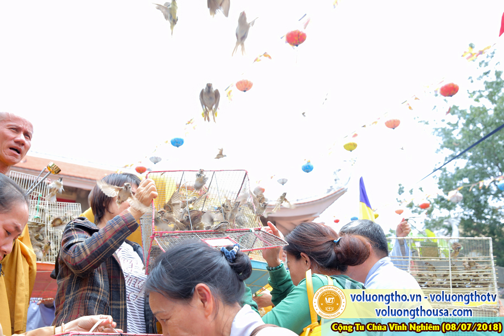 hinh-anh-phap-hoi-vinh-nghiem-ngay-8-7-2018-chua-quan-the-am-duc-trong-lam-dong-117.jpg