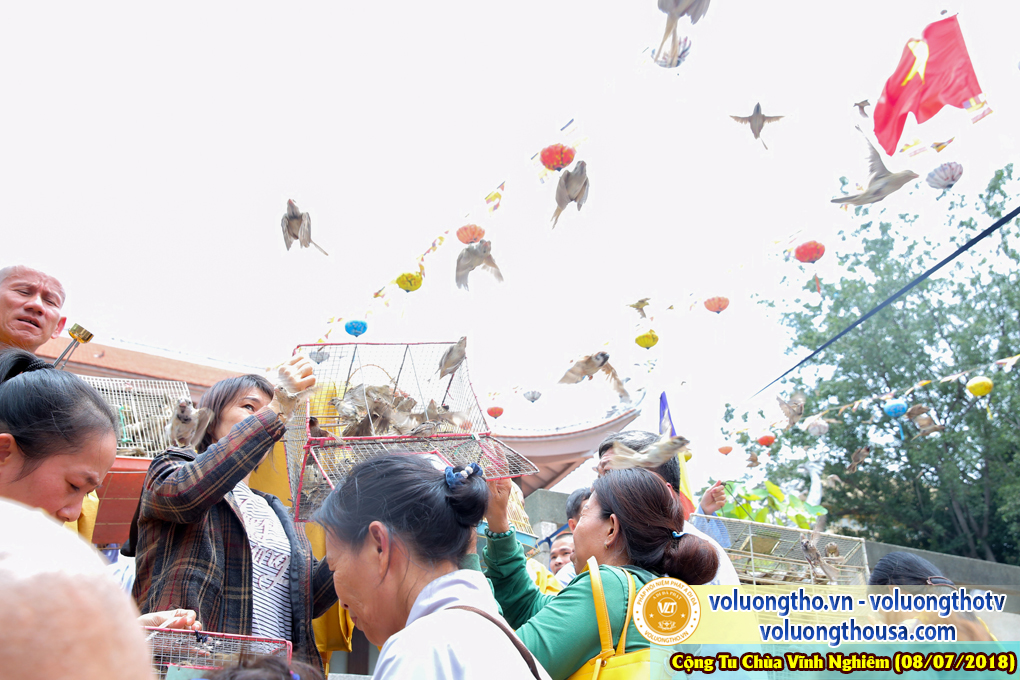hinh-anh-phap-hoi-vinh-nghiem-ngay-8-7-2018-chua-quan-the-am-duc-trong-lam-dong-119.jpg