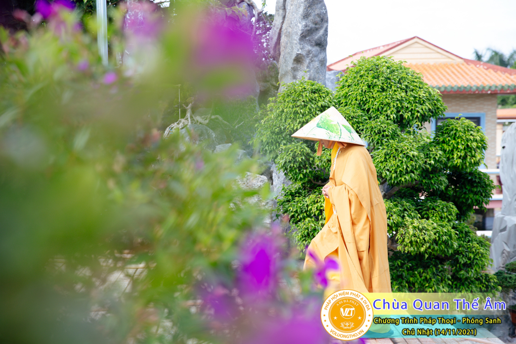 hinh-anh-phap-thoai-va-phong-sanh-ngay-14-11-2021-chua-quan-the-am-duc-trong-lam-dong-4.jpg