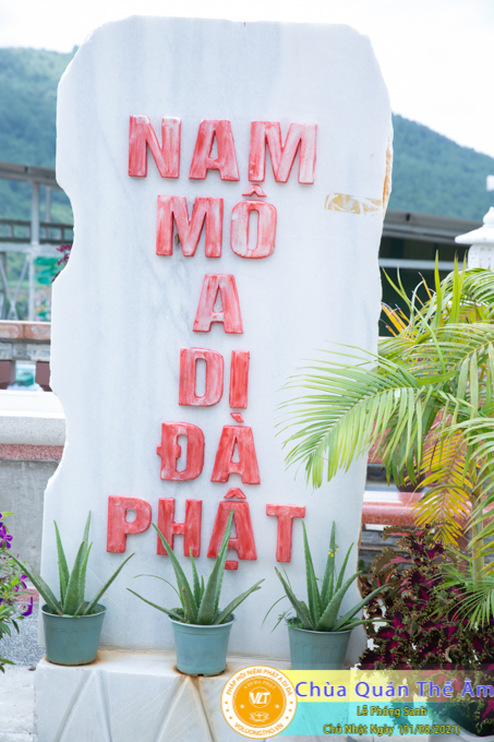 hinh-anh-phong-sanh-ngay-01-08-2021-chua-quan-the-am-duc-trong-lam-dong-18.jpg