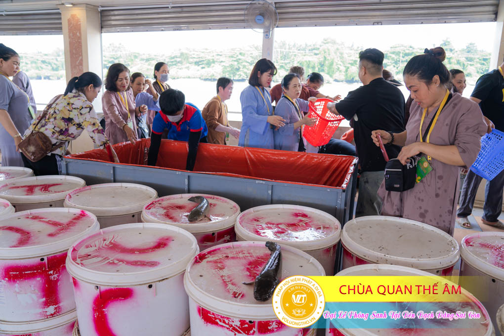 hinh-anh-phong-sanh-tai-ben-bach-dang-lan-3-ngay-22-10-2023-chua-quan-the-am-duc-trong-lam-dong-121.jpg